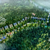 Bán Bt View Đẹp Tại Sunset Villas & Resort, 5,05 Tỷ, 515M2