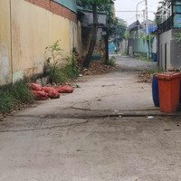 Bán Lô Đất Thổ Cư 428M2 Mặt Tiền Đường Xuân Thới 8 Một Sẹc Ngắn Đường Võ Thị Hồi, Hóc Môn