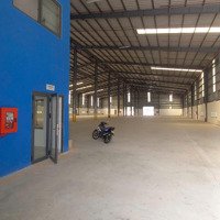 Kho Xưởng Cho Thuê Trong Khu Công Nghiệp, Củ Chi, Dt: 6,200M2