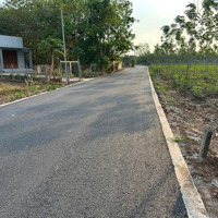 Bán Đất 1000M2 Bao Thổ Cư Tại An Linh Sát Đường Dh507