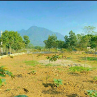Nhỉnh 2 Tỷ Sở Hữu Ngay Lô Đất 481M2, View Núi Bám Cánh Đồng. Vị Trí Đẹp Cách Trực Chính 150M
