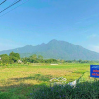 Nhỉnh 2 Tỷ Sở Hữu Ngay Lô Đất 481M2, View Núi Bám Cánh Đồng. Vị Trí Đẹp Cách Trực Chính 150M