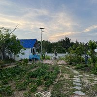 Đất Biệt Thự Vườn Gần Biển Khu Chí Linh, Phường 10
