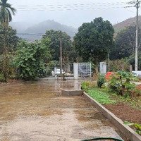 Siêu Phẩm Bám Trục Chính Tỉnh Lộ 415 Cần Bán 1933M2 View Núi Siêu Thoáng