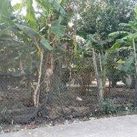 6x20(120m2) Hẻm Trưng Trắc, Tân An, LaGi Giá 1 Tỷ