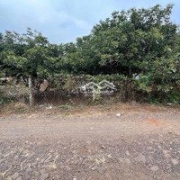 166M2 Đất Thổ Cư Xã Bảo Hoà, Xuân Lộc, Đồng Nai, Đất Hẻm Đường Nhựa, Khu Dân Cư