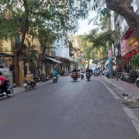 Bán Gấp Nhà Mặt Phố Hàng Than. Trung Tâm Quận Hoàn Kiếm