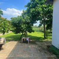 Bán Biệt Thự Mặt Tiền Bình Quới, 24 Tỷ, 856M2, Giá Tốt, Bình Thạnh, Hcm
