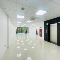 Cho Thuê Nhà Phố Trần Thái Tông - Cầu Giấy, 130M2 X 8T, 1 Hầm, Mt: 8M, Thông Sàn, Thang Máy, Pccc