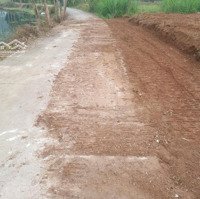 Đất View Hồ. Giá Chỉ Nhỉnh 300 Triệu Tại Lập Thạch, Vĩnh Phúc