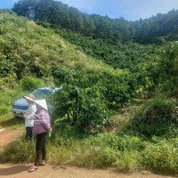 Bán Đất Đẹp Xuất Sắc Tại Xã Mê Linh, Lâm Hà, Lâm Đồng, Giá Bán 3,3 Tỷ, 3865 M2