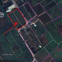 Đất Dành Cho Nhà Đầu Tư Lâu Dài, 2 Mặt Tiền, Shr, 1/ Bùi Thị Lành, Xã Trung An, Củ Chi
