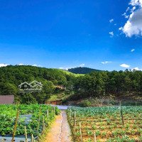 Đất Chính Chủ Đường Vành Đai Mới Đà Lạt