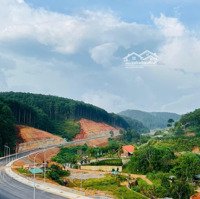 Đất Chính Chủ Đường Vành Đai Mới Đà Lạt