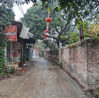 Bán Đất Tại Xã Phụng Châu, Chương Mỹ, Hà Nội, 42 Triệu / M2, 114.4M2