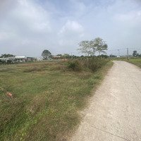 Cơ Hội Vàng Cho Sự Phát Triển Kinh Tế