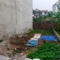 Bán Đất Phượng Đồng, Phụng Châu. Giá Rẻ 2.05 Tỷ