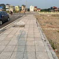 Đất Đấu Giá Đông Đình Đại Cường
