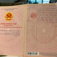 Bán lô đất siêu phẩm mặt tiền Hương Lộ 2 ngay trung tâm huyện Trảng Bàng