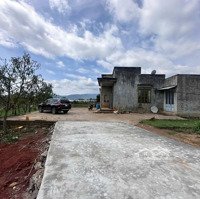 Đất Siêu Đẹp, Giá Tốt Nhất Khu Nam Ban - Lâm Hà; 12000M2 Sẵn 400M Tc, Sẵn 1 Căn Villa Mini