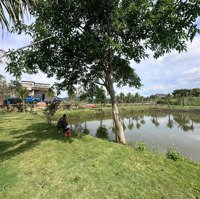 Đất Siêu Đẹp, Giá Tốt Nhất Khu Nam Ban - Lâm Hà; 12000M2 Sẵn 400M Tc, Sẵn 1 Căn Villa Mini