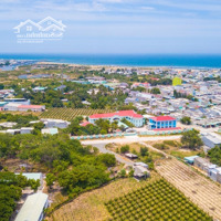 Bán Đất Biển Liên Hương, Bình Thuận. Khu Đấu Giá, Sổ Đỏ Sẵn 8 Triệu/M2. Đầu Tư Kinh Doanh Thuận Tiện
