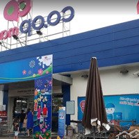 Cần Tiền Bán Gấp Ngay Lương Văn Nho, Cần Thạnh, Cần Giờ, 10X30M, Khuôn Viên 300M2 Mà Giá Chỉ 2Tỷ8