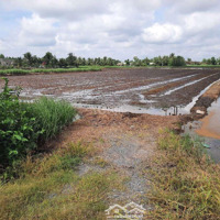 Thanh Lý Nhanh 4150 M2 Đất Tân Bửu - Bến Lức Giáp Ranh Sg, Giá Rất Rẻ Chỉ 1 Triệu/Mét = 4,2 Tỷ