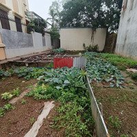 Bán Đất Ngũ Hiệp Ô Tô Chạy Vòng Quanh Giá Rẻ Rật Mình, Chủ Đang Mót Bán
