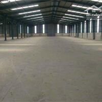 Cho thuê lâu dài 8000m² kho xưởng tại Gò Dầu, Tây Ninh.