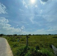 Bán 5,2Ha Đất Phù Hợp Làm Biệt Thự, Nhà Phố, Nhà Vườn Tphcm Hoocmon