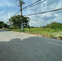 Bán 5,2Ha Đất Phù Hợp Làm Biệt Thự, Nhà Phố, Nhà Vườn Tphcm Hoocmon
