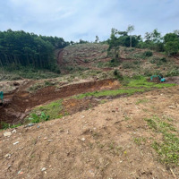 Bán 13000M2 Đất Giá Chỉ 2 Tỷ Duy Nhất Tại Kim Bôi - Hòa Bình