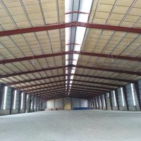 Cho Thuê 18.000M2 Kho Xưởng Mặt Tiền Quốc Lộ 22