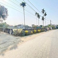 Bán Gấp Lô Góc Mặt Tiền Đường Tại Tân Vinh Lương Sơn Có Thể Chia Lô Đượcdiện Tích920M2 Có 400M2 Thổ Cư