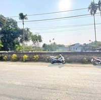 Bán Gấp Lô Góc Mặt Tiền Đường Tại Tân Vinh Lương Sơn Có Thể Chia Lô Đượcdiện Tích920M2 Có 400M2 Thổ Cư
