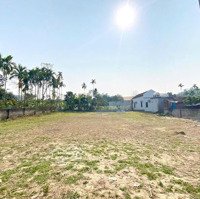 Bán Gấp Lô Góc Mặt Tiền Đường Tại Tân Vinh Lương Sơn Có Thể Chia Lô Đượcdiện Tích920M2 Có 400M2 Thổ Cư