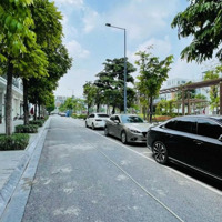Cho Thuê Nhà Vũ Phạm Hàmmặt Tiền6M,Diện Tích100M X 8T, Thông Sàn Thang Máy, Đường 2 Ô Tô Tránh Đỗ Cửa. 85 Triệu