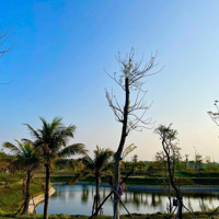 Golden Bay, Đất Nền Cam Ranhdiện Tích108M2, Sở Hữu Lâu Dài