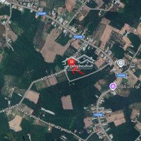 Bán Đất Mặt Tiền Nhựa Dh504, Phước Sang, Phú Giáo, Bình Dương 650 Triệu, 300M2