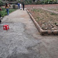 Chào Bán 2 Lô F0 60M2 P. Hoa Động, Thành Phố Thuỷ Nguyên - Hải Phòng. Giá 950 Triệu