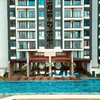 Ngân Ngân House Cập Nhật Cho Thuê Và Bán Hàng Ngộp Lỗ Sâuthe Emerald Golf View Tháng 2/2025