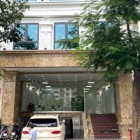Cho Thuê Tòa Văn Phòng 9 Tầng Mặt Phố Quan Hoa. DT 190m2. MT 9.5m. Giá 13.300USD/th