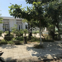 Đường Lộc Ninh Phố Chợ Non Nước