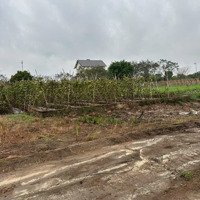 Chính Chủ Cần Bán Gấp Cặp Lô Đất Mặt Đường 24M