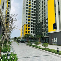 Cho Thuê Cc Bcons Plaza, 5,5 Triệu, 52M2, 2 Phòng Ngủ 2 Vệ Sinhtại Thống Nhất, Dĩ An, Bình Dương