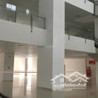 Bán Shophouse Kinh Doanh Giá Tốt Tại Ia20 Ciputra, Đông Ngạc, Bắc Từ Liêm, Hà Nội, 2,3 Tỷ, 46 M2