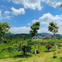 Bán Đất Siêu Đẹp Ba Vì View Núi, Mặt Tiền Rộng, Giá Rẻ