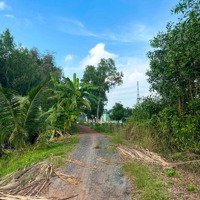 Bán Gấp Đất 500M2 Tại Xã Bình Quới, Châu Thành, Long An View Sông, Pháp Lý Đầy Đủ