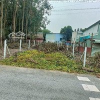 Kẹt Tiền Bán Lại Miếng Đất 300M2 Có Thôi Cư Giá Bán 980 Triệu Tại Bến Cát Bình Dương. Mặt Tiền Đường Nhựa